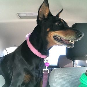 Meet your Posher, Heather